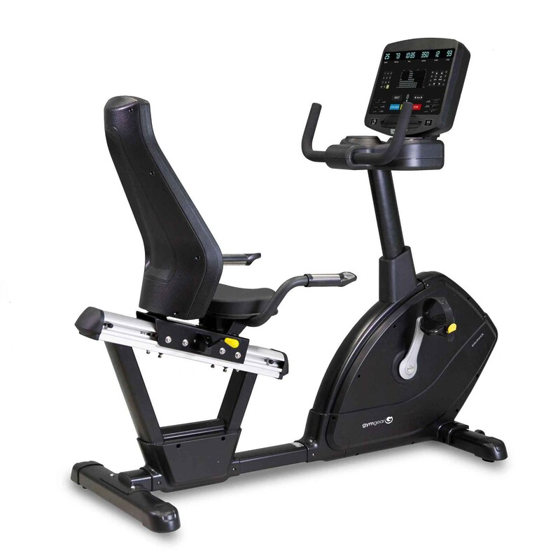 Endurance Series Recumbent Bike