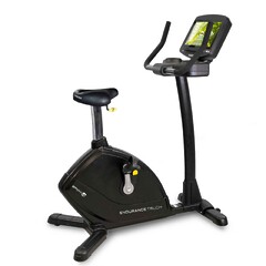 Endurance Touch Series Upright Bike