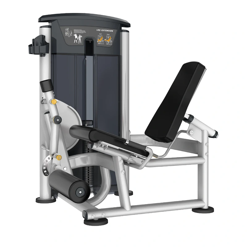 Perform Series, Leg Extension