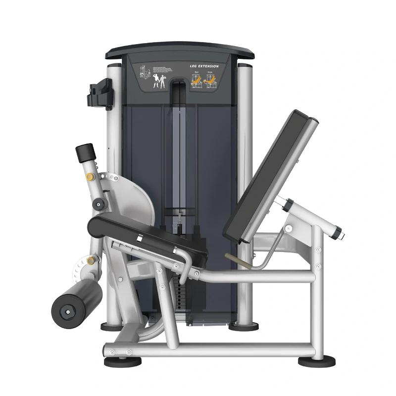 Perform Series, Leg Extension