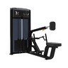 Pro Series Seated Row, Back Strength Machine