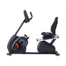 R97 Recumbent Bike