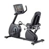 R98s Sport Recumbent Bike