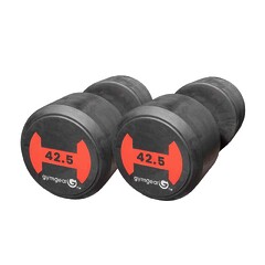 Commercial Grade 42.5kg Rubber Dumbbells Pair